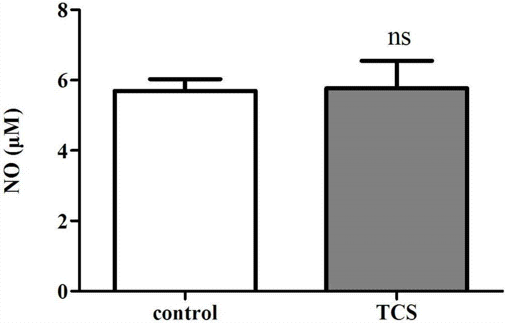 Application of rMBP-NAP in regulation and control of macrophage and direct tumor resistance