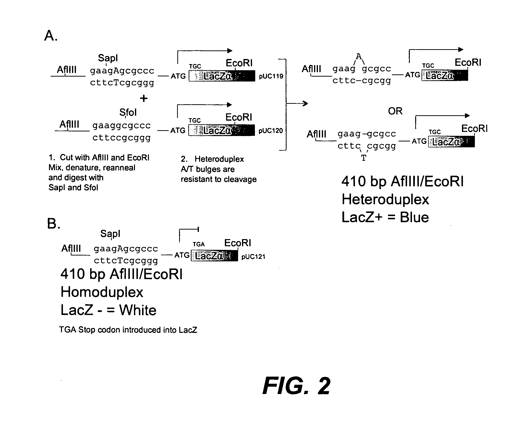 Error reduction in automated gene synthesis