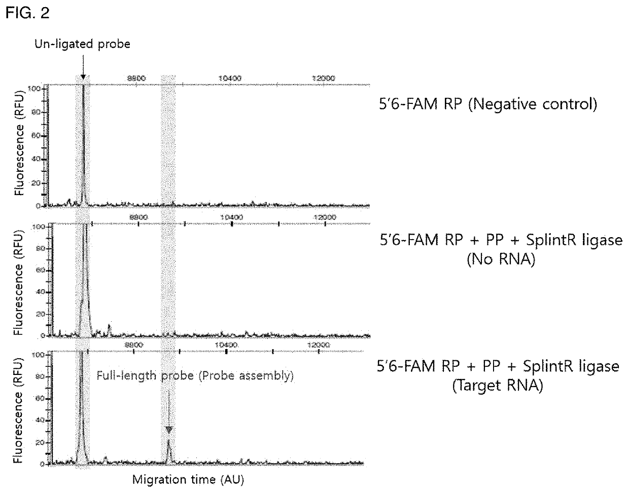 Novel probe set for isothermal one-pot reaction, and uses thereof