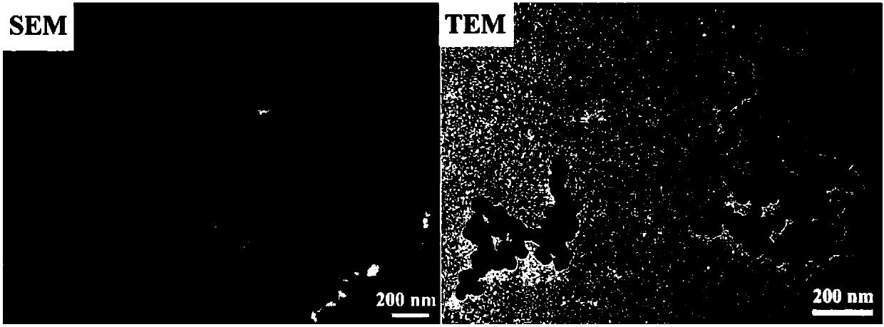 Mesoporous silica nano-drug carrier and preparation method thereof