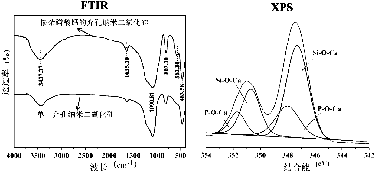 Mesoporous silica nano-drug carrier and preparation method thereof