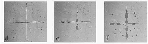 Silicon dioxide microcapsule self-repairing anticorrosive paint and preparation method thereof