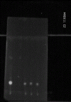 Quality detection method of rejuvenating and life prolonging paste