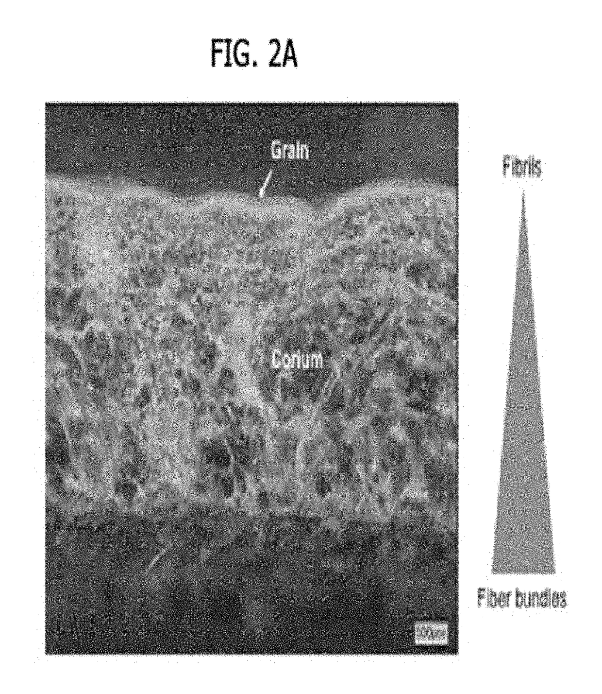 Method for biofabricating composite material