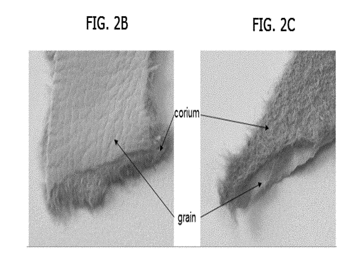 Method for biofabricating composite material