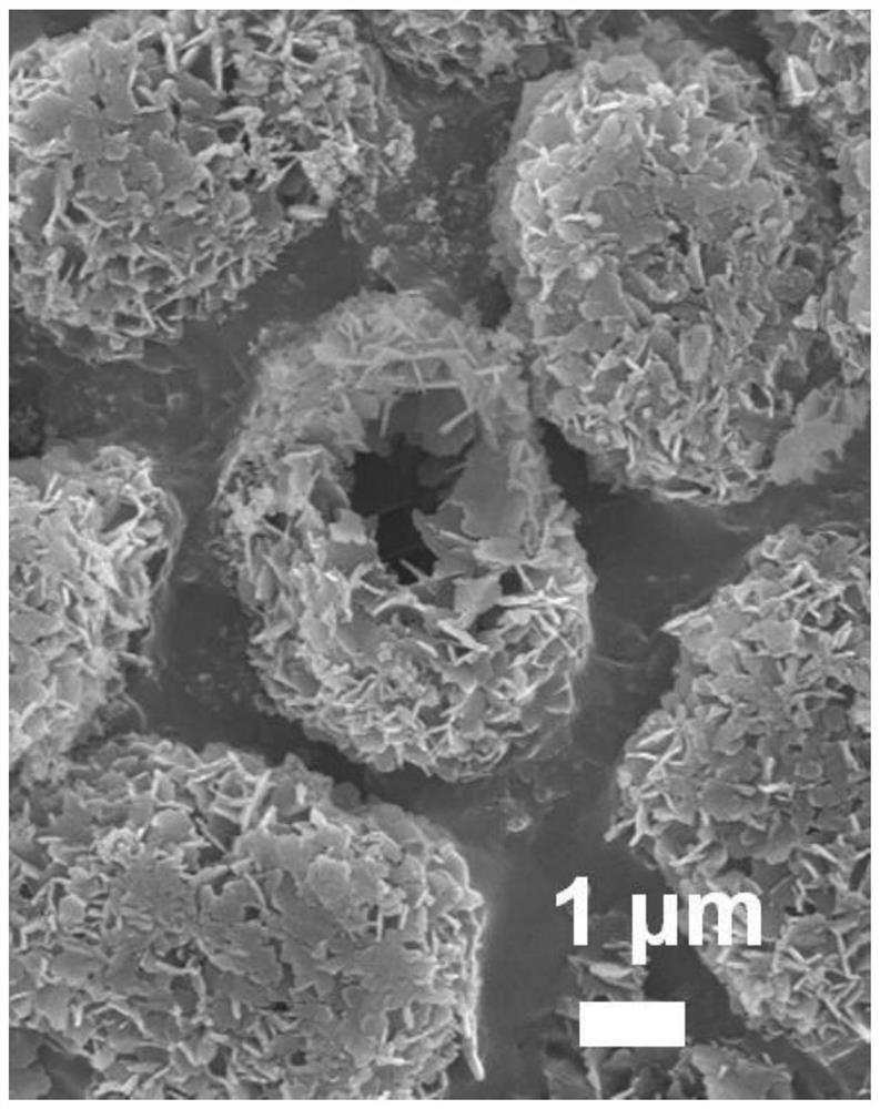 A kind of synthesis method of heteroatom-containing micron cavity reactor type hbmz zeolite molecular sieve