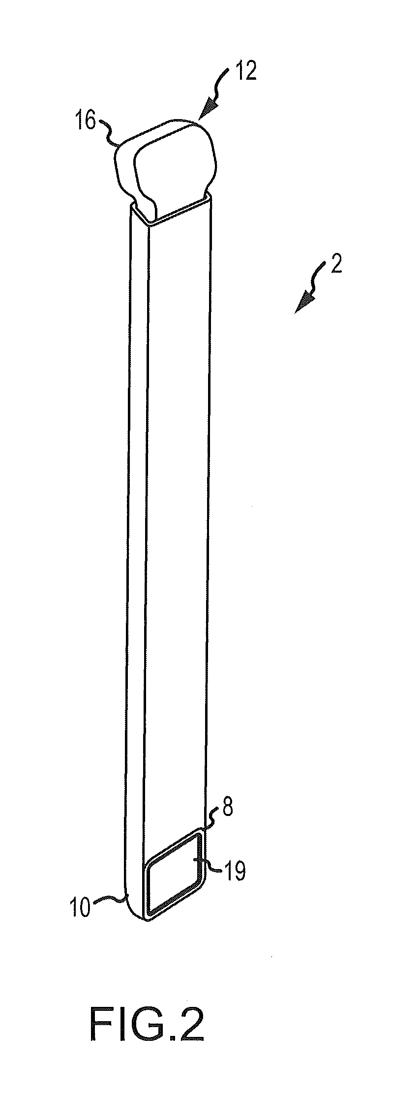 Fusion cage with combined biological delivery system