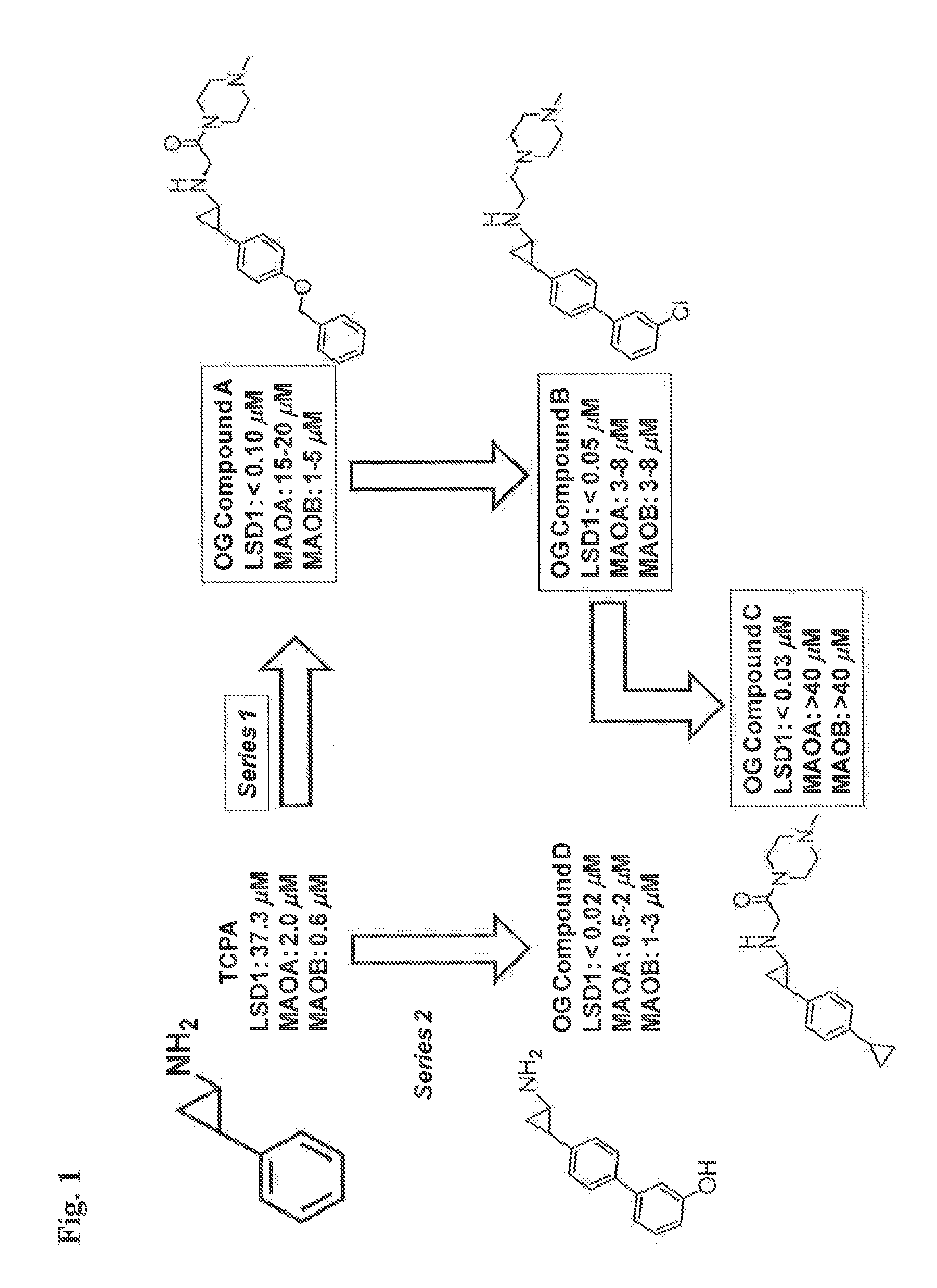 Lysine demethylase inhibitors for myeloproliferative disorders