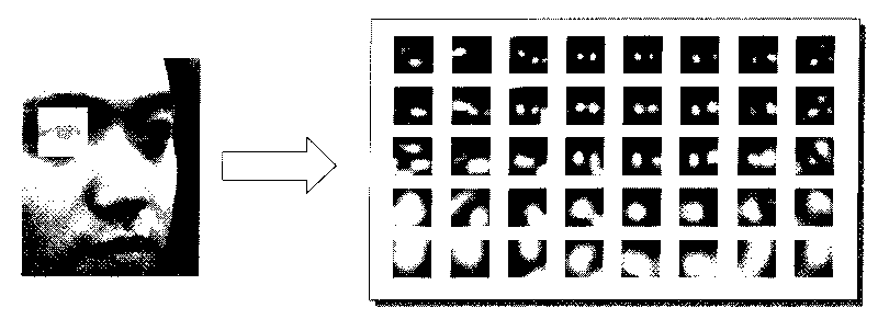 Face recognition method of attitude robust