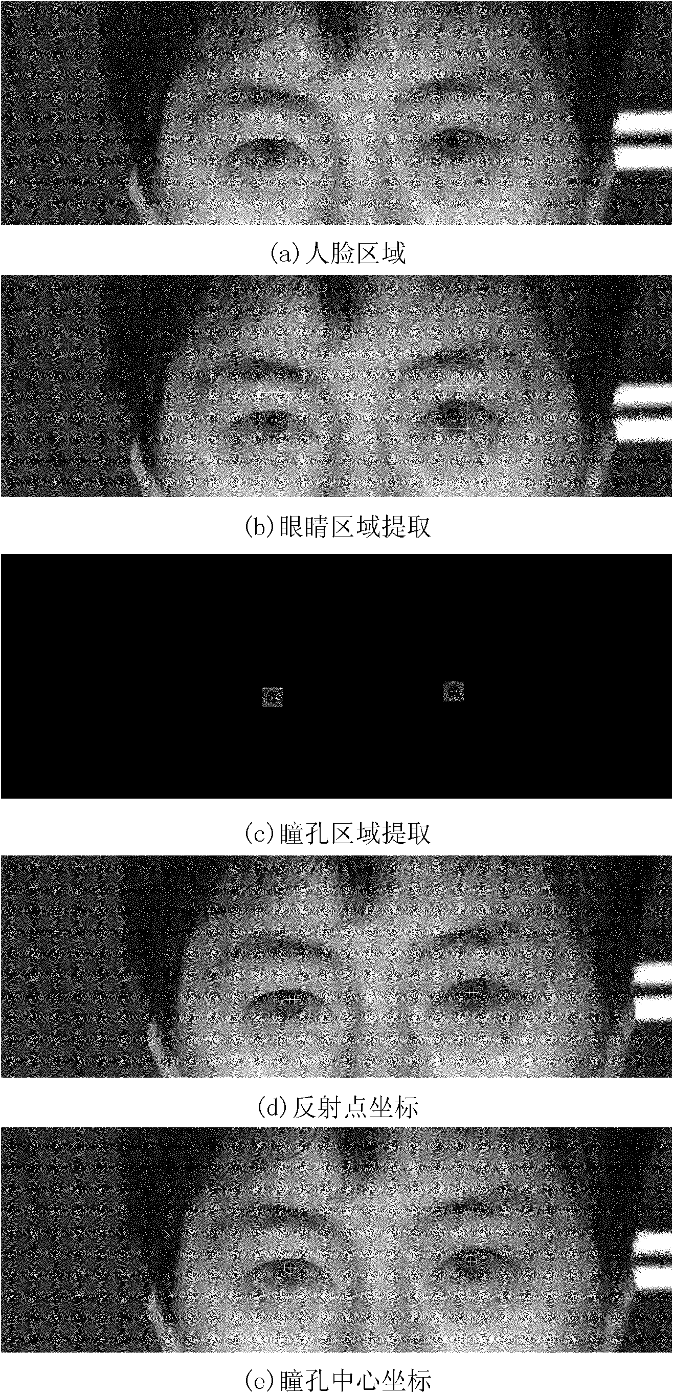 Eye-gaze tracking method based on double light sources