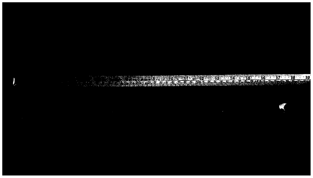 Preparation method of TiAl-based composite material with high product of strength and elongation