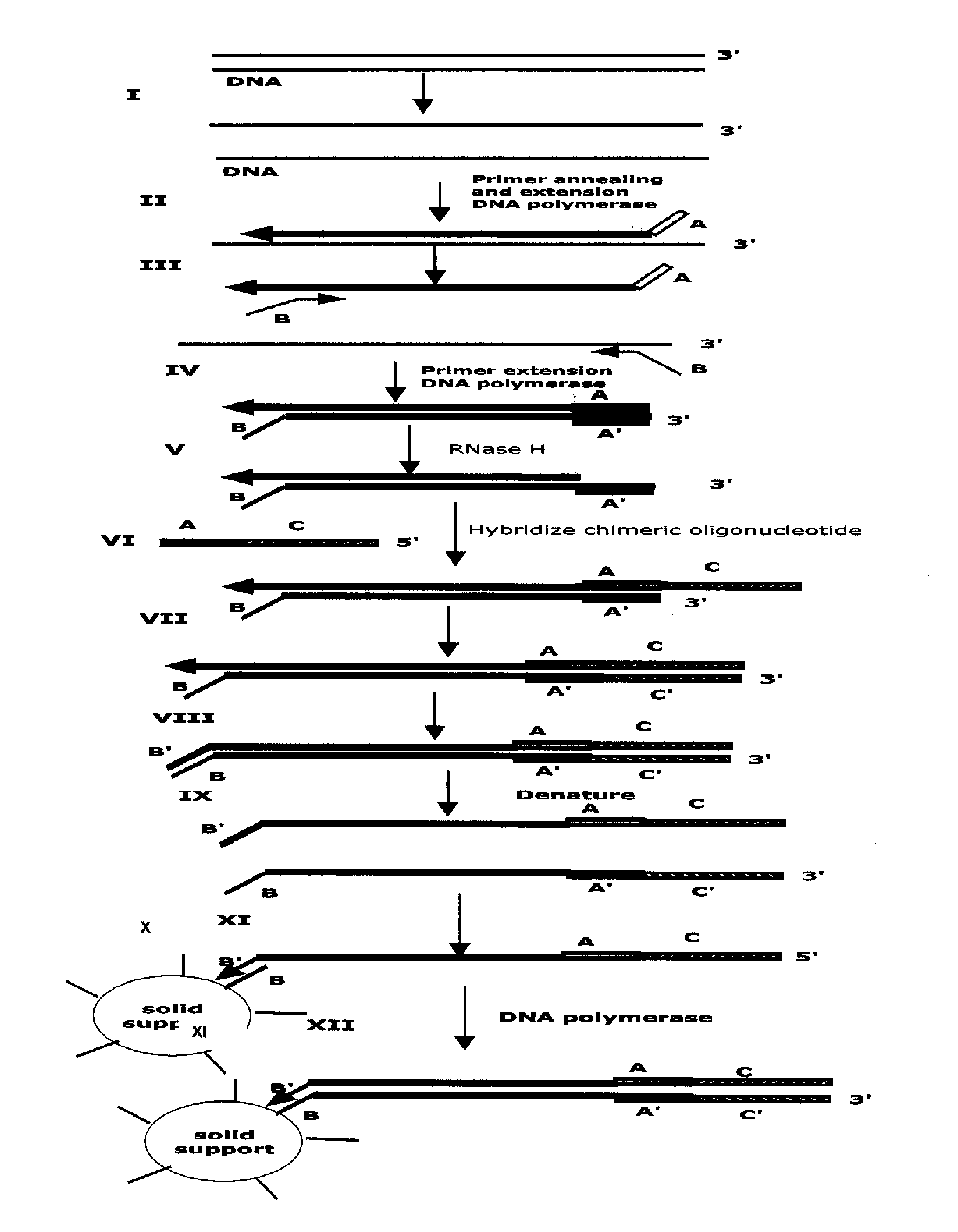 Method for Archiving and Clonal Expansion