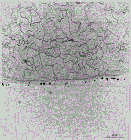 Nichrome and carbon steel composite board as well as production method thereof