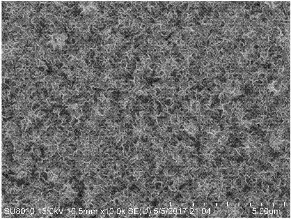 Method for preparing tungsten diselenide semiconductor film on FTO substrate and application of method