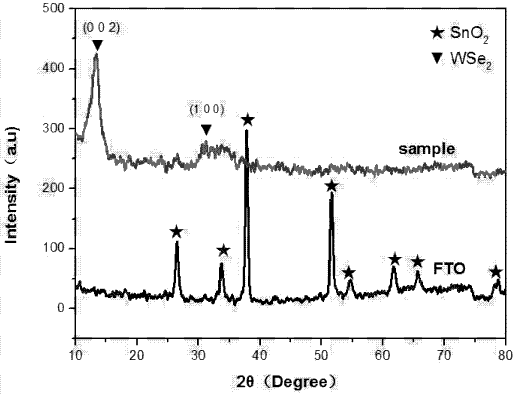 Method for preparing tungsten diselenide semiconductor film on FTO substrate and application of method