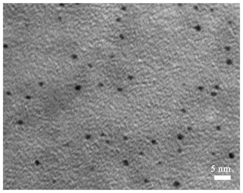 Fluorescent gold nano-cluster as well as preparation method and application thereof