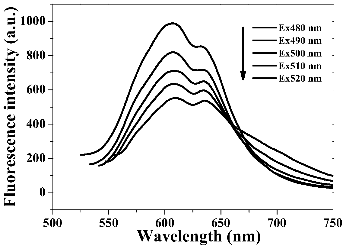 Fluorescent gold nano-cluster as well as preparation method and application thereof