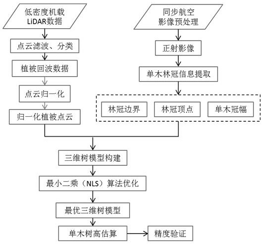 Forest single tree height estimation method based on lidar point cloud and synchronous remote sensing images