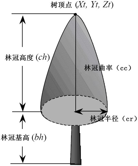 Forest single tree height estimation method based on lidar point cloud and synchronous remote sensing images