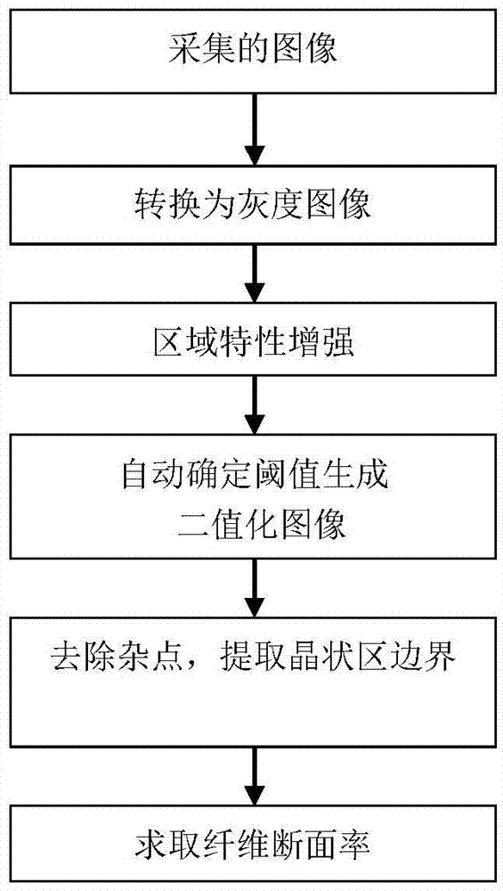 System and method for determining fiber fracture surface rate of impact specimen fracture