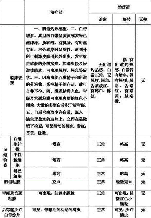 Preparation method of Chinese medicine irrigation solution for treating toxic-heat type trichomonas vaginitis