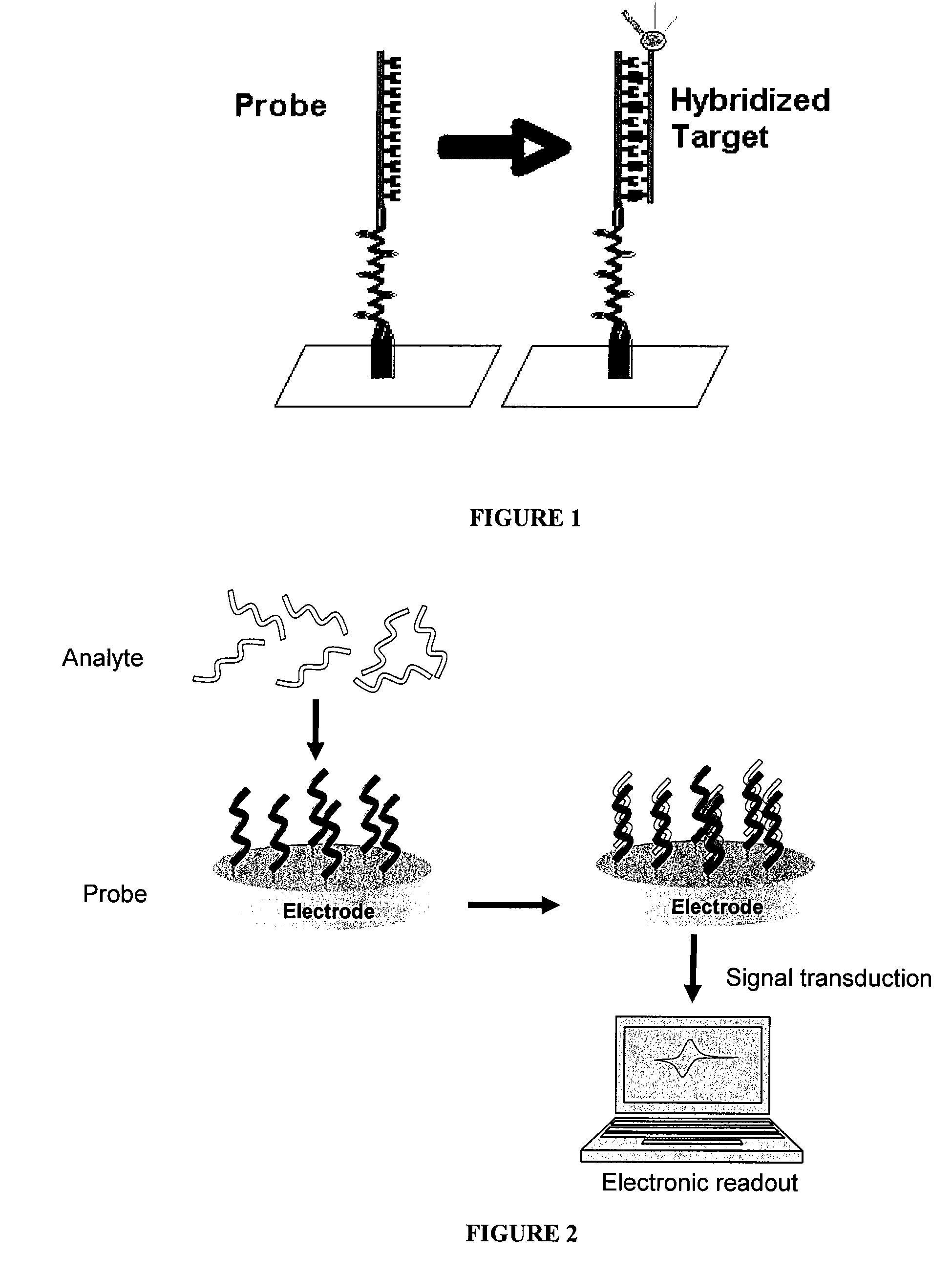 Electrochemical Detection of Substrates