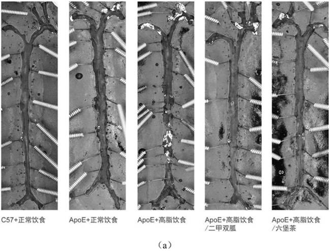 Application of Liupao tea in preparing functional products for preventing and treating amyloid protein diseases