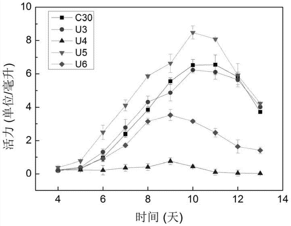 A recombinant strain of Trichoderma reesei containing artificial zinc finger transcription factor and its application