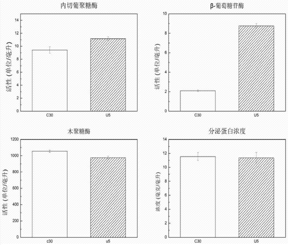 A recombinant strain of Trichoderma reesei containing artificial zinc finger transcription factor and its application