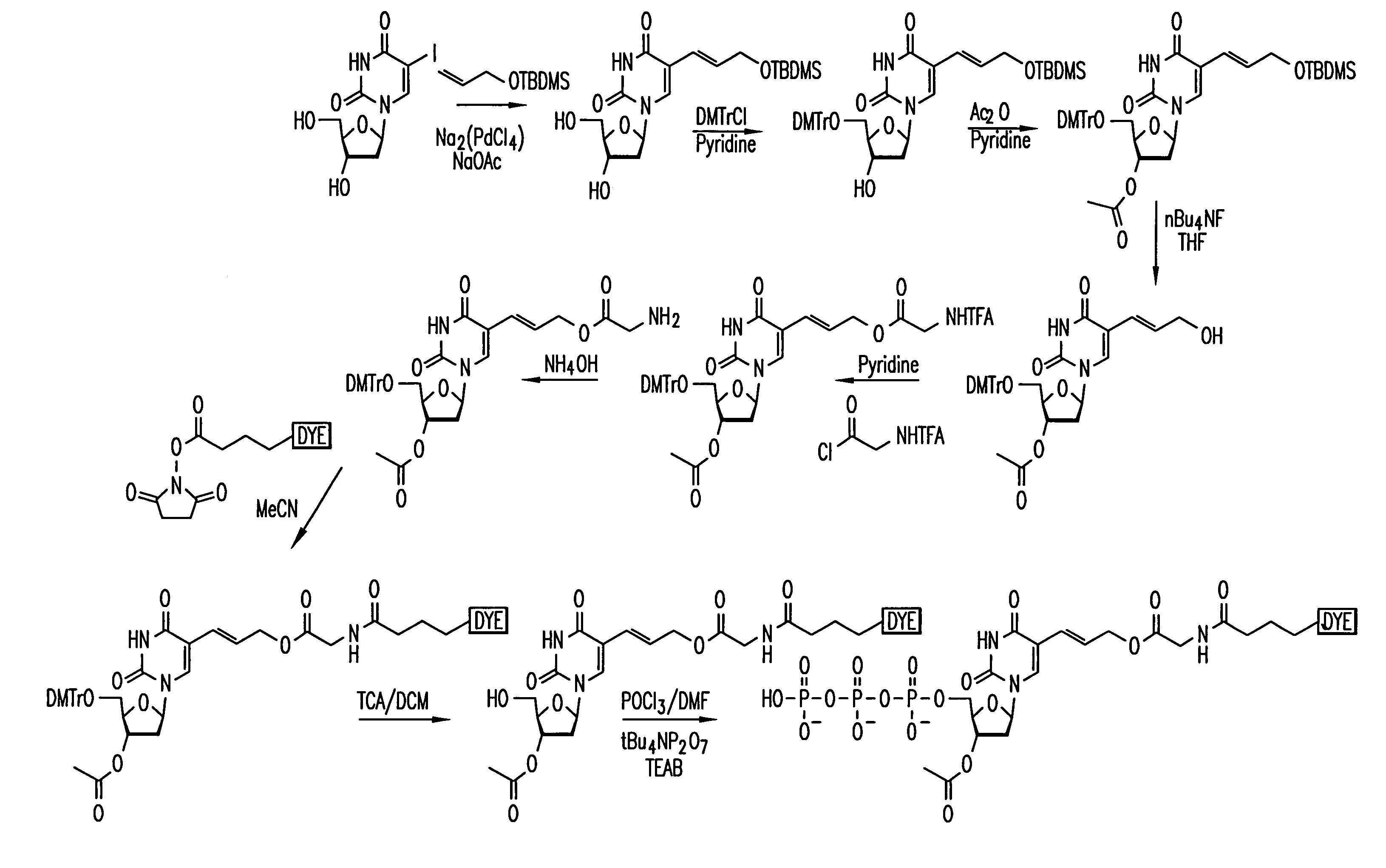 Nucleotide analogues comprising a reporter moiety and a polymerase enzyme blocking moiety