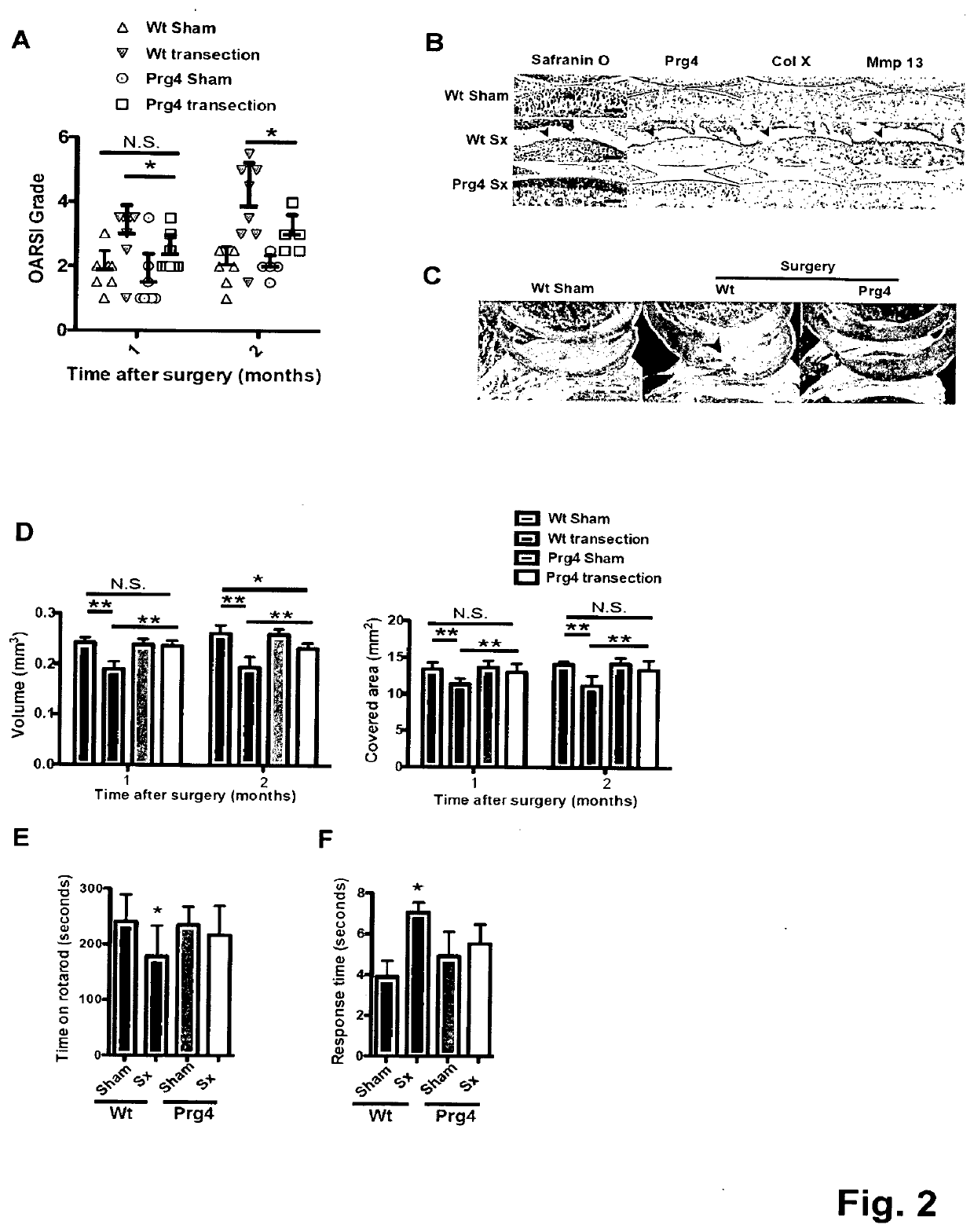 Helper-dependent adenoviral gene therapy delivery and expression system