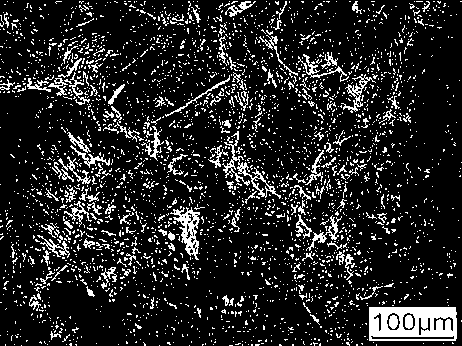 Method for improving low-carbon aluminum killed steel blank hot cracks by adopting low-voltage pulse current