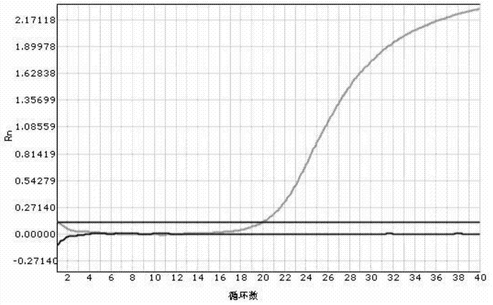 Kit for quickly detecting polymorphism of human VKORC1 and CYP2CP genes and using method of kit