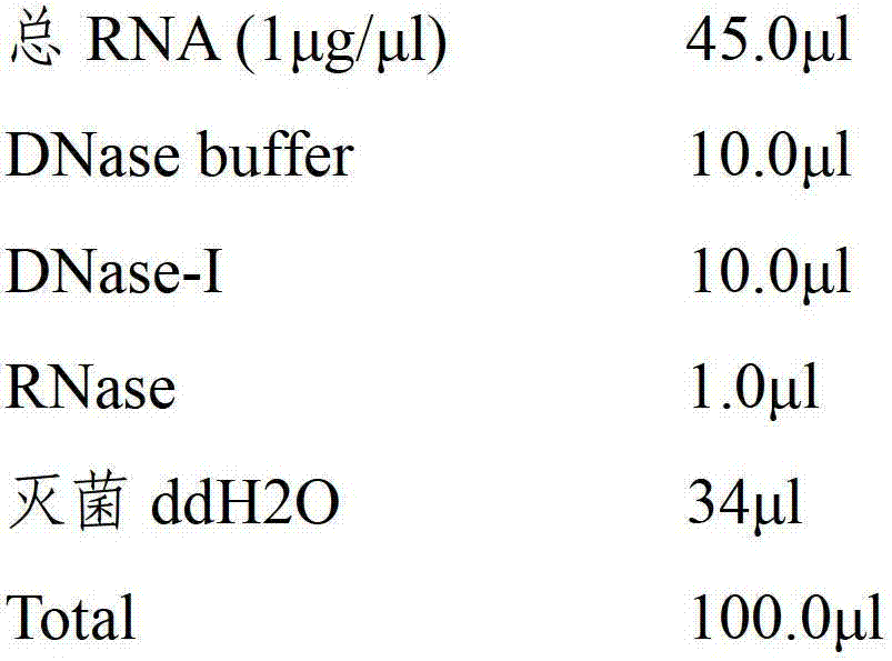 Fishy taste susceptible gene of quail egg and application of fishy taste susceptible gene as molecular marker