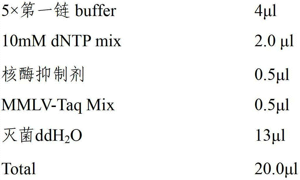 Fishy taste susceptible gene of quail egg and application of fishy taste susceptible gene as molecular marker