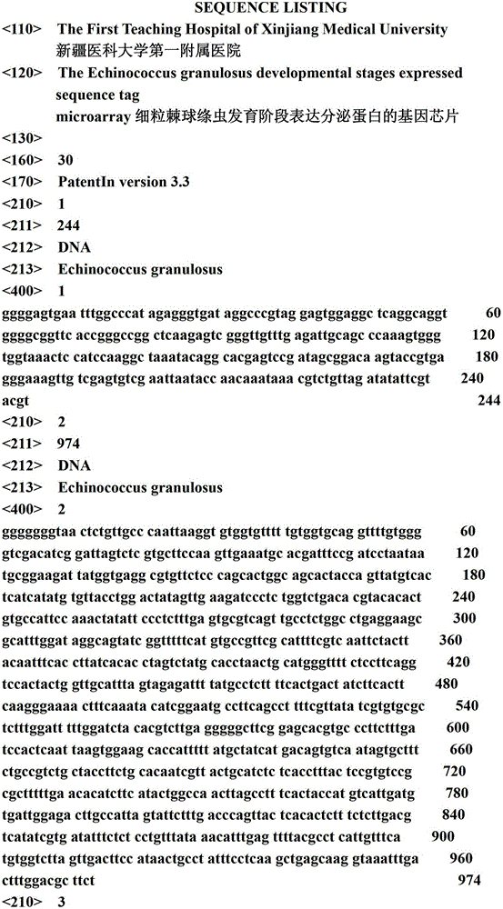 Echinococcus granulosus developmental-stage secretory protein expression gene chip