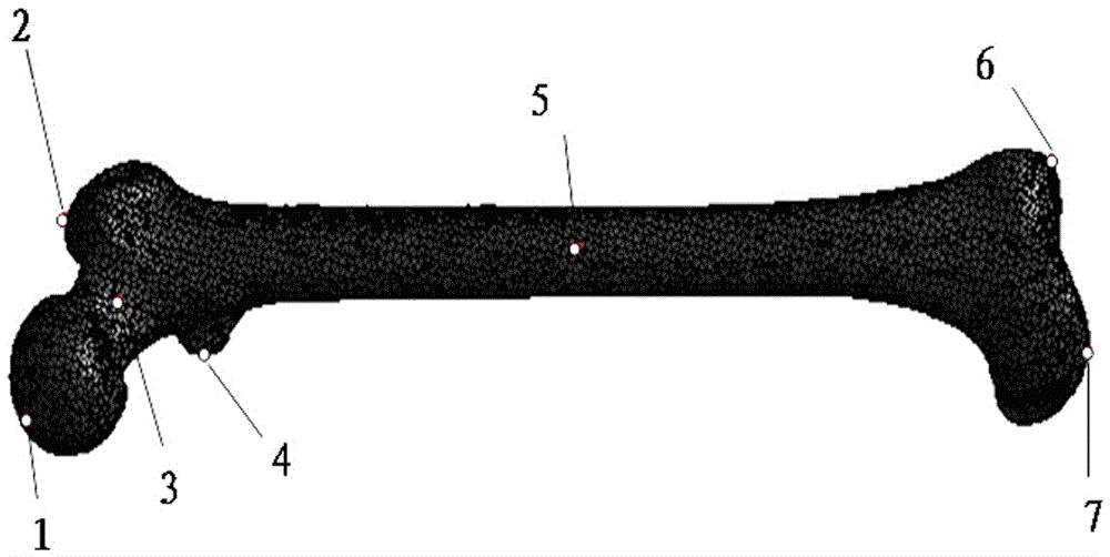 Bone parameter calculation method based on compatible mesh segmentation