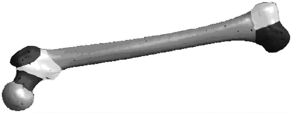 Bone parameter calculation method based on compatible mesh segmentation