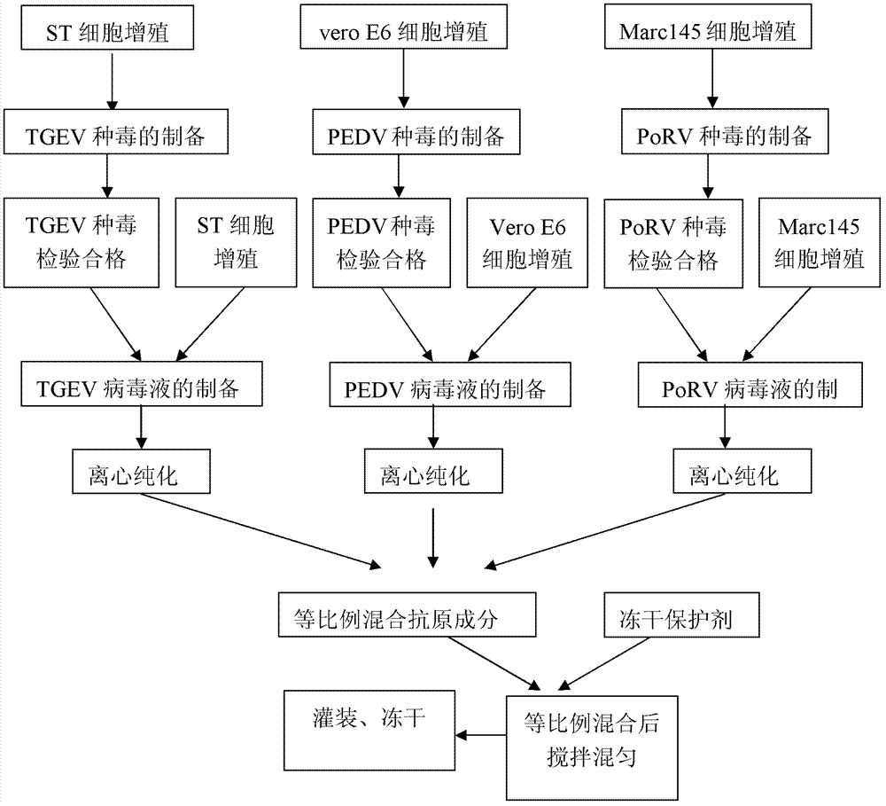 Triple live vaccine for swine transmissible gastroenteritis virus, swine epidemic diarrhea virus and swine rotavirus