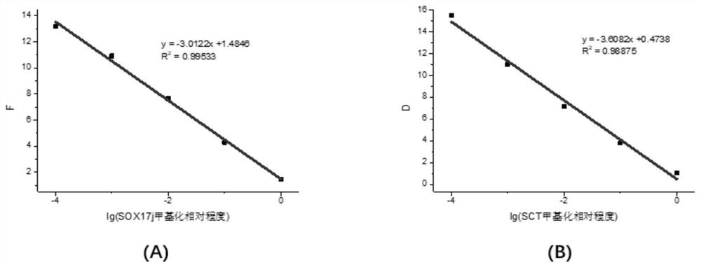 Plasma free DNA methylation gene combination for identifying benign and malignant pulmonary nodules, and application of plasma free DNA methylation gene combination