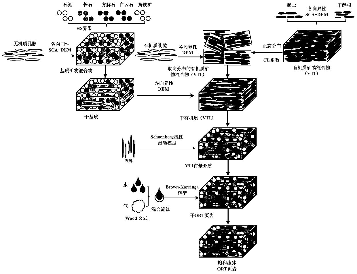 A method for establishing an orthotropic shale petrophysical model