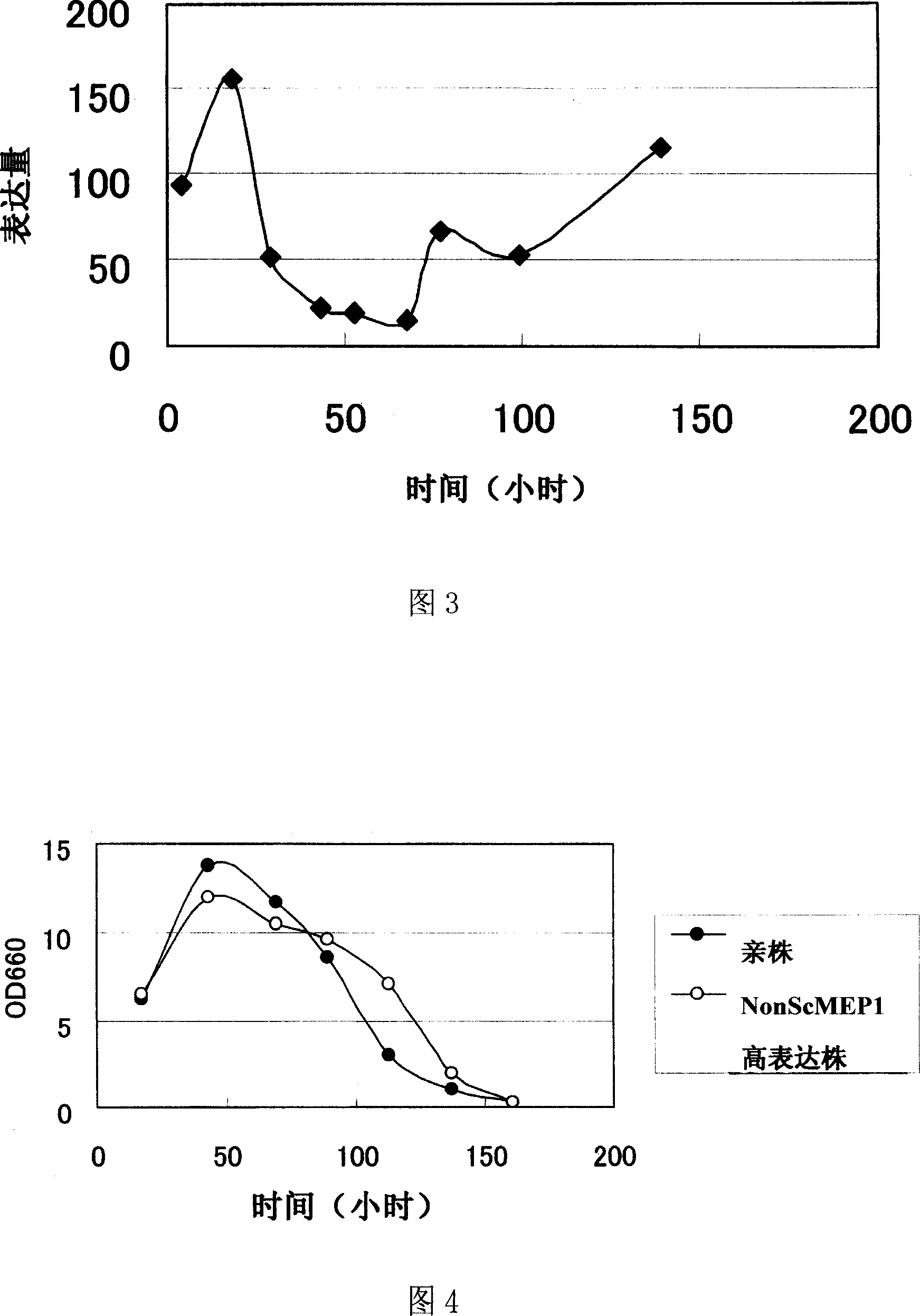 Ammonia transporter gene and use thereof