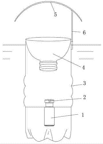 Hylobitelus xiaoi Zhang adult attractant and trapping utilization method of Hylobitelus xiaoi Zhang adult attractant for disinsection in forest