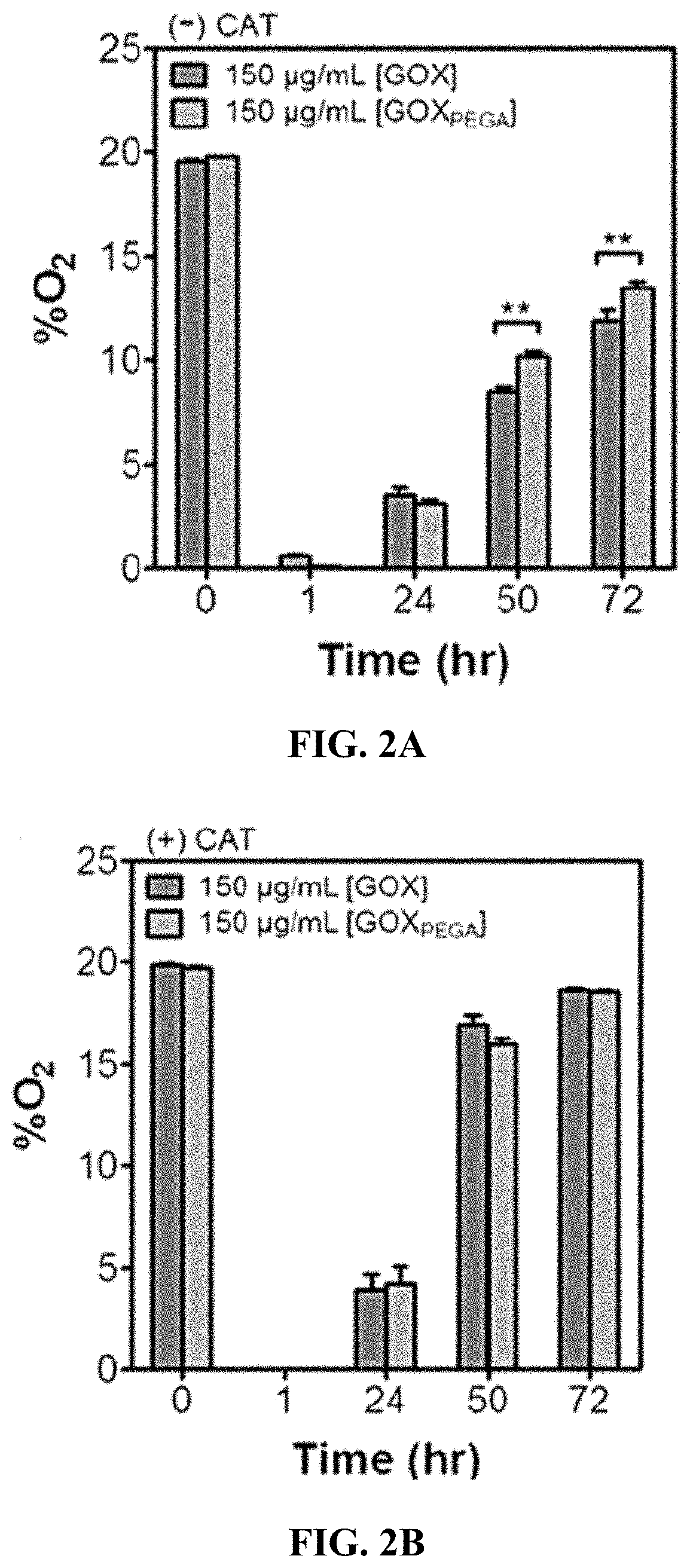 Stabilization of enzyme-immobilized hydrogels for extended hypoxic cell culture