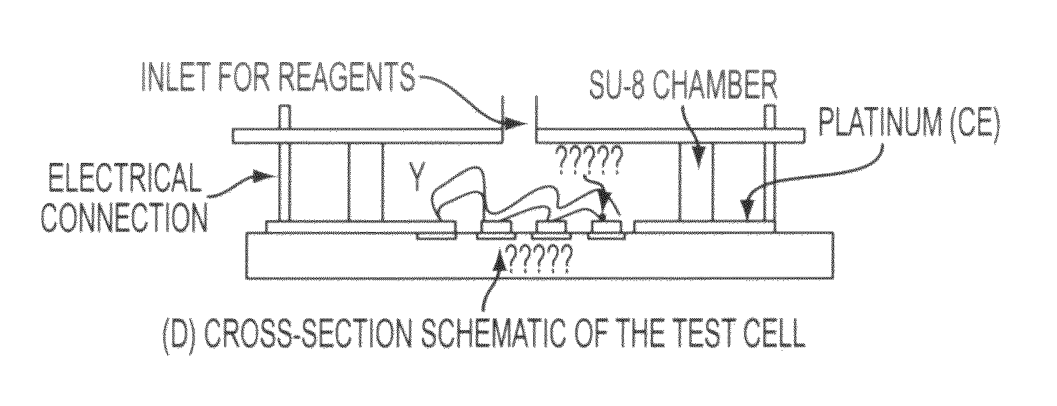 Nano-based device for detection of disease biomarkers and other target molecules