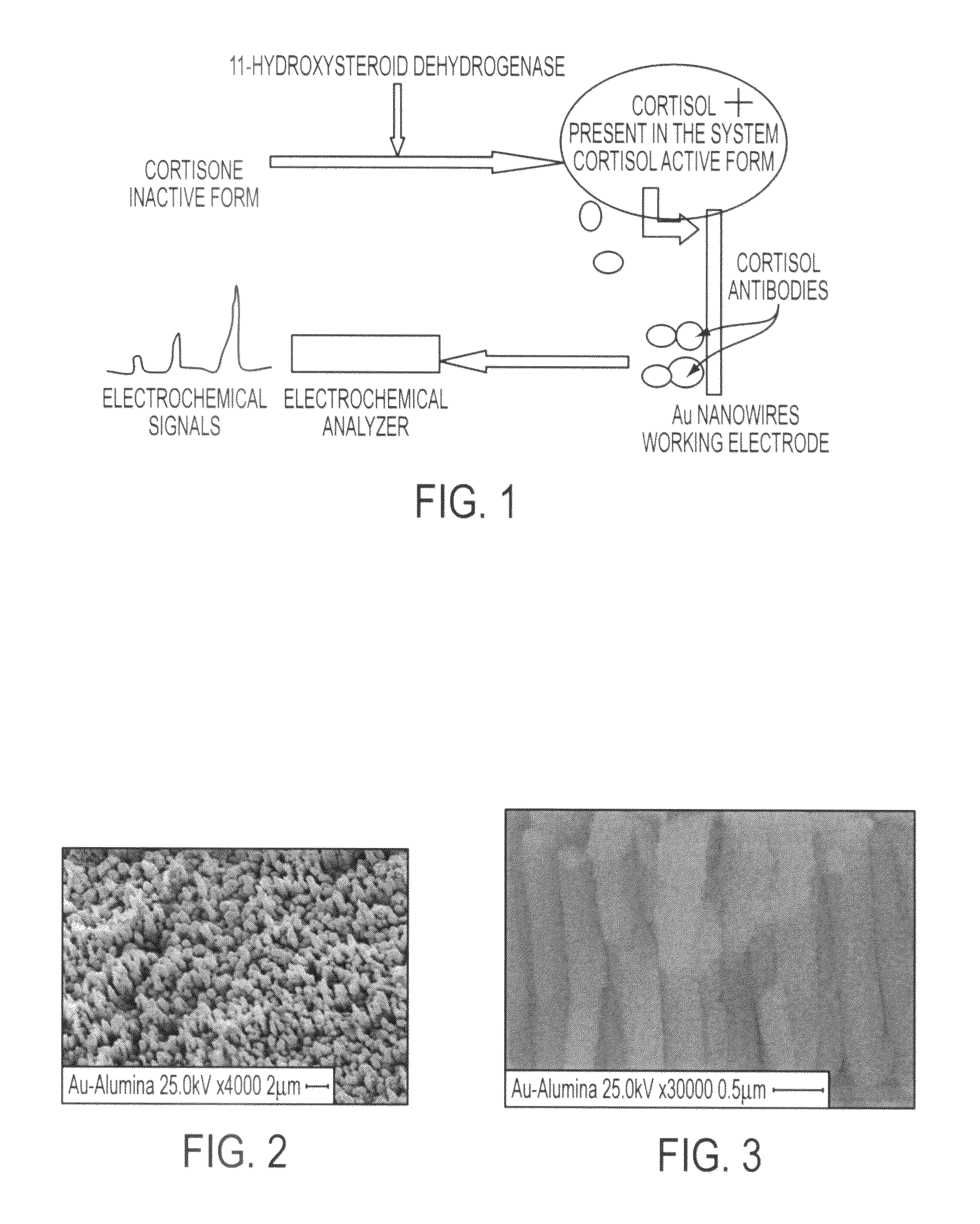 Nano-based device for detection of disease biomarkers and other target molecules