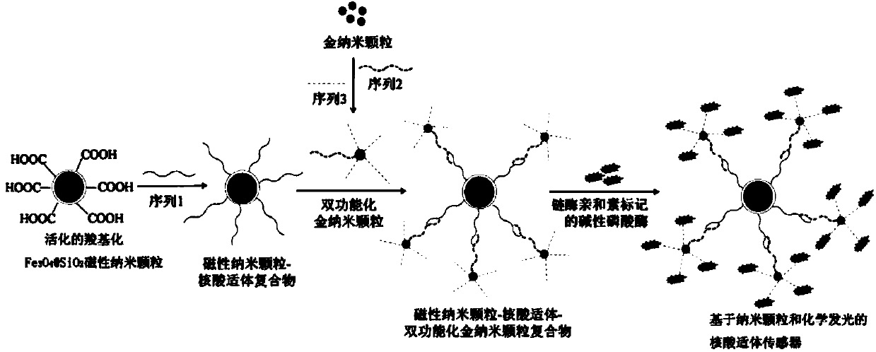 Aptamer sensor based on nano particles and chemiluminiscence, as well as preparation method and application of sensor