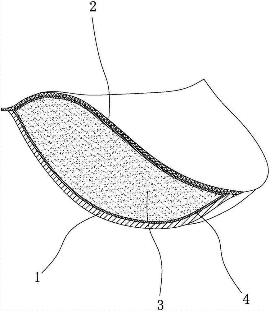 Bra prepared from taxus chinensis viscose fibers