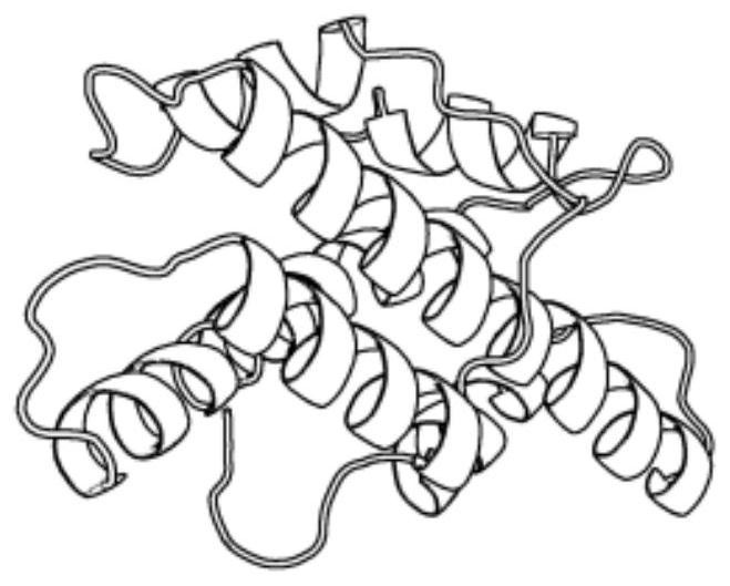 Differential evolution protein structure prediction method based on optimization of distance between residues