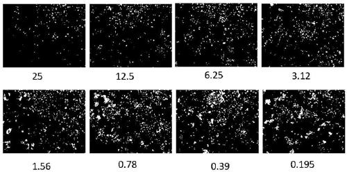 Small-molecule synthetic compound 1712 anti-ebola virus activity screening method